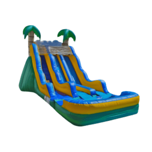 Tropical Wave Slide Home